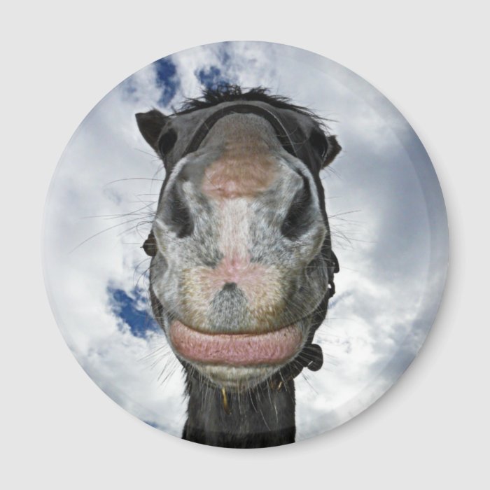 Horse Nose Knows Funny Smiling Horse Refrigerator Magnets