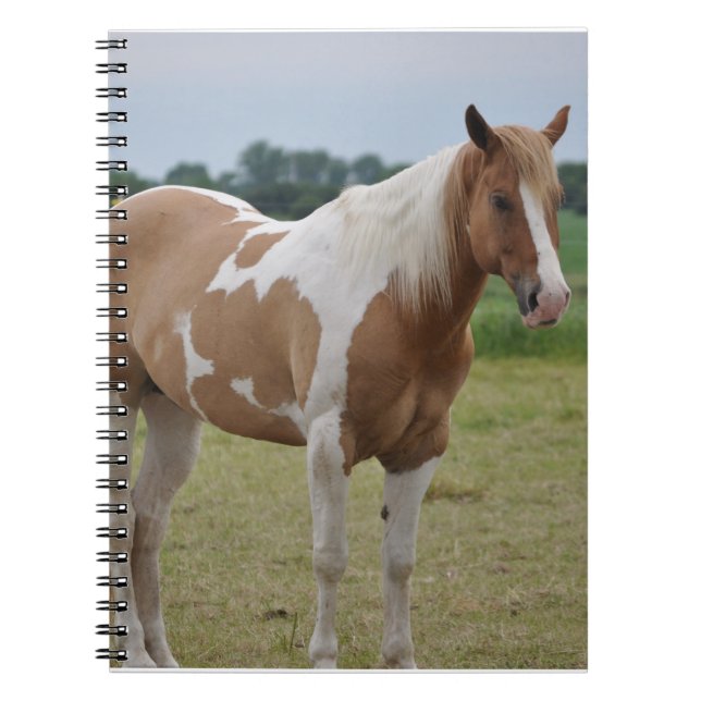 Horse Notebook (Front)