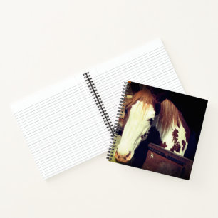 Horse Notebook