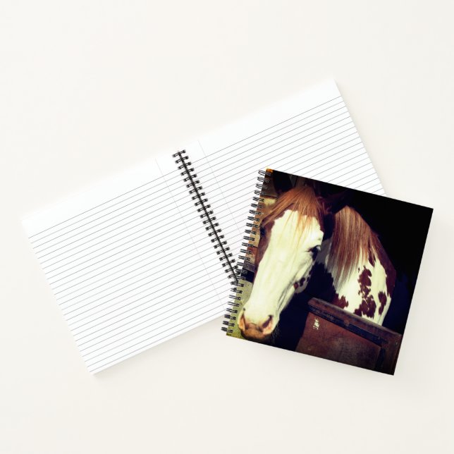 Horse Notebook (Inside)