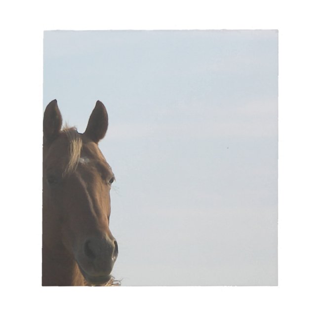 Horse Notpad Notepad (Front)