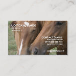 Horse Nuzzle Business Card