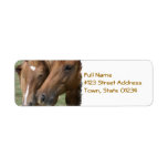 Horse Nuzzle Mailing Label