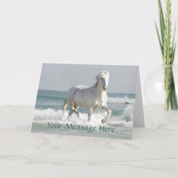 Horse Ocean Beauty Greeting Card by horsesense at Zazzle