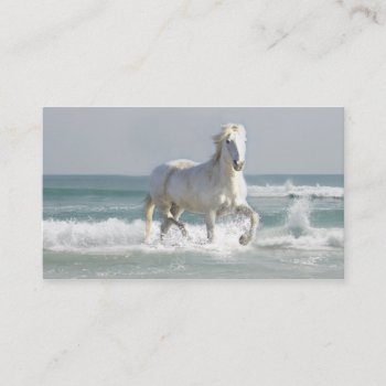 Horse Ocean Business Card by horsesense at Zazzle