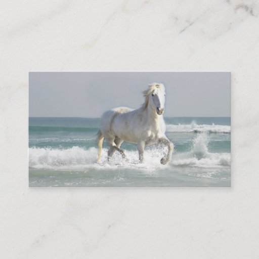 Customizable Horse Ocean Business Card
