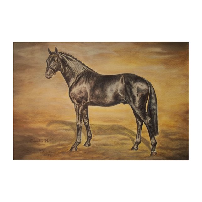 HORSE OLDENBURGER STALION- SANDRO HIT- DH ACRYLIC PRINT (Front)