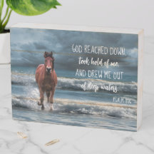 Horse on Beach Inspirational God Reached Down