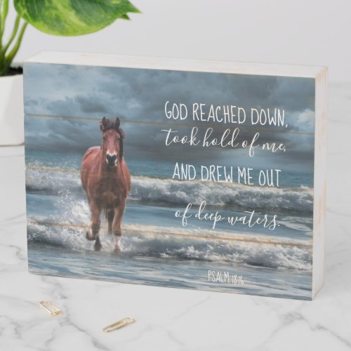 Horse on Beach Inspirational God Reached Down Wooden Box Sign