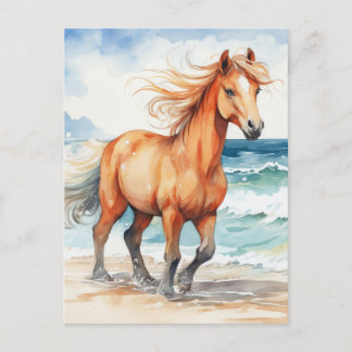 Horse on Beach Postcard