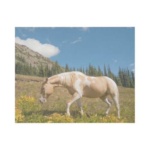 Horse on Grasses in an Alpine Meadow in Summer Gallery Wrap