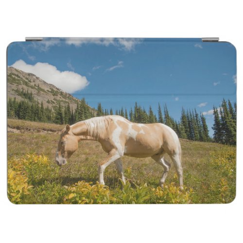Horse on Grasses in an Alpine Meadow in Summer iPad Air Cover