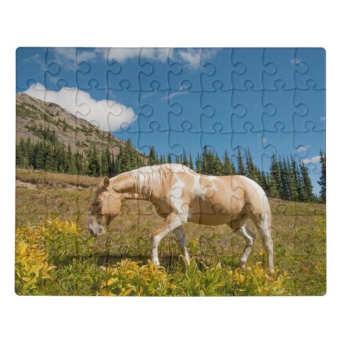 Horse on Grasses in an Alpine Meadow in Summer Jigsaw Puzzle