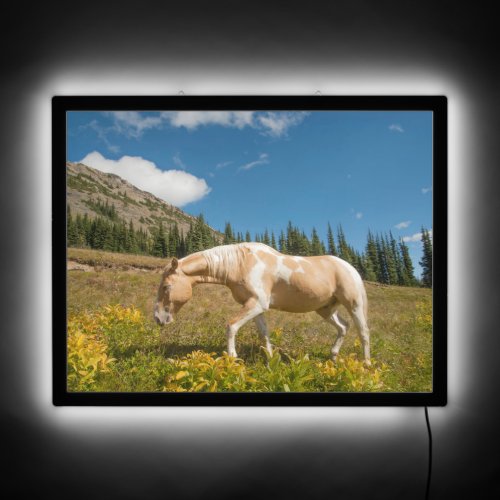 Horse on Grasses in an Alpine Meadow in Summer LED Sign