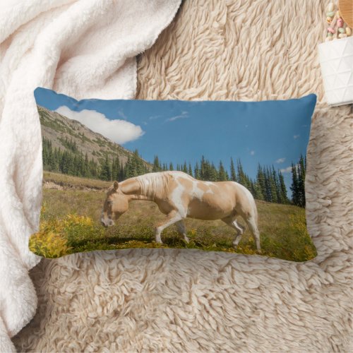 Horse on Grasses in an Alpine Meadow in Summer Lumbar Pillow