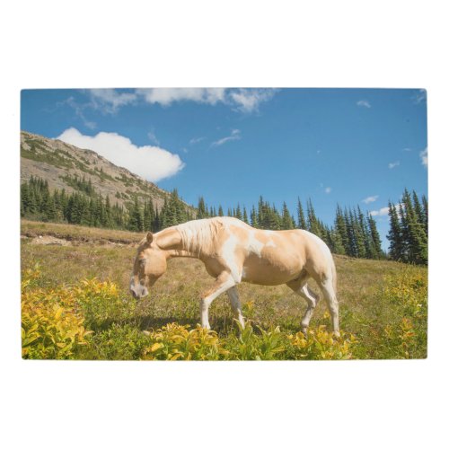 Horse on Grasses in an Alpine Meadow in Summer Metal Print