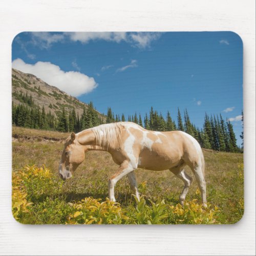 Horse on Grasses in an Alpine Meadow in Summer Mouse Pad
