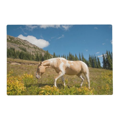 Horse on Grasses in an Alpine Meadow in Summer Placemat