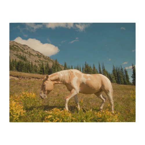 Horse on Grasses in an Alpine Meadow in Summer Wood Wall Art