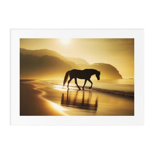 Horse on the sunset shoreline acrylic print