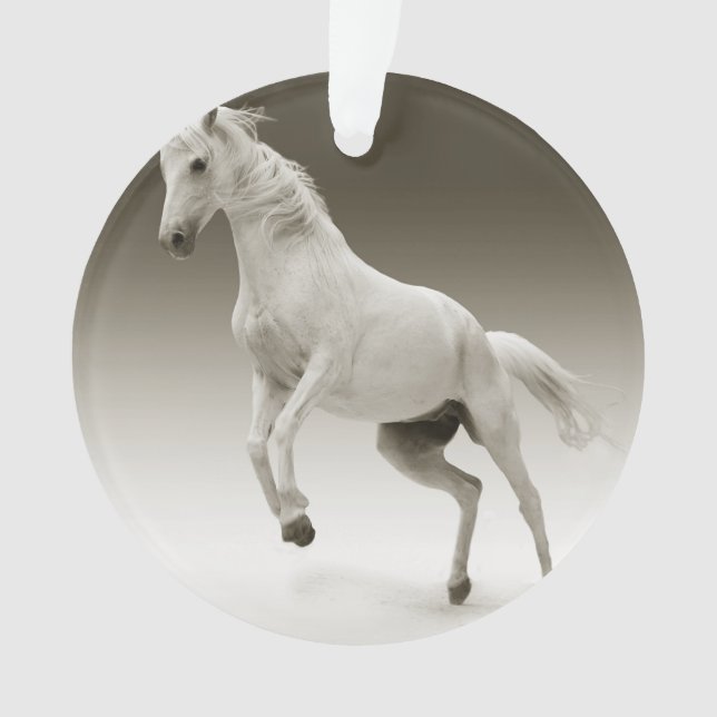 horse ornament (Front)