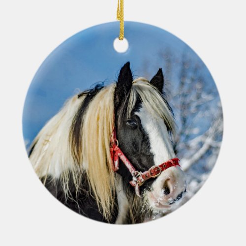 Horse Paint Snow Photo Ceramic Ornament