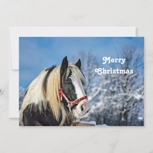 Horse Paint Snow Photo Christmas Flat Holiday Card