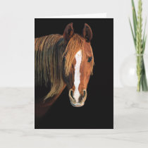 Horse painting card