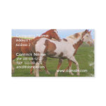 Horse Pair Business Card