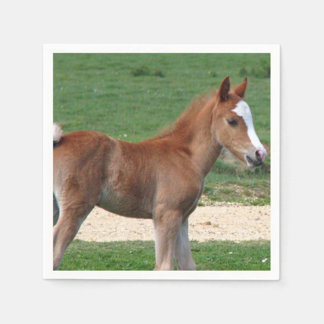Horse Paper Napkins (Front)