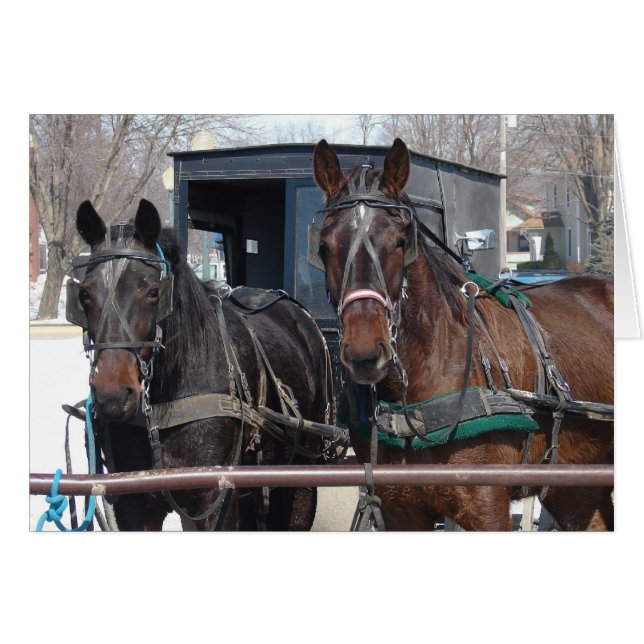 Horse Parking Lot Cards (Front Horizontal)