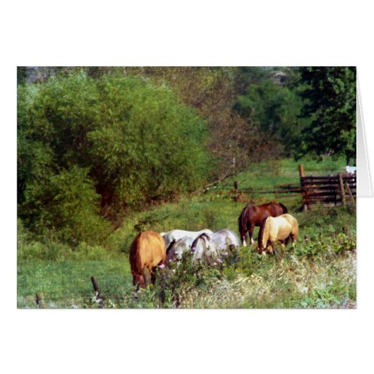 Horse Pasture 2 Cards (Front Horizontal)
