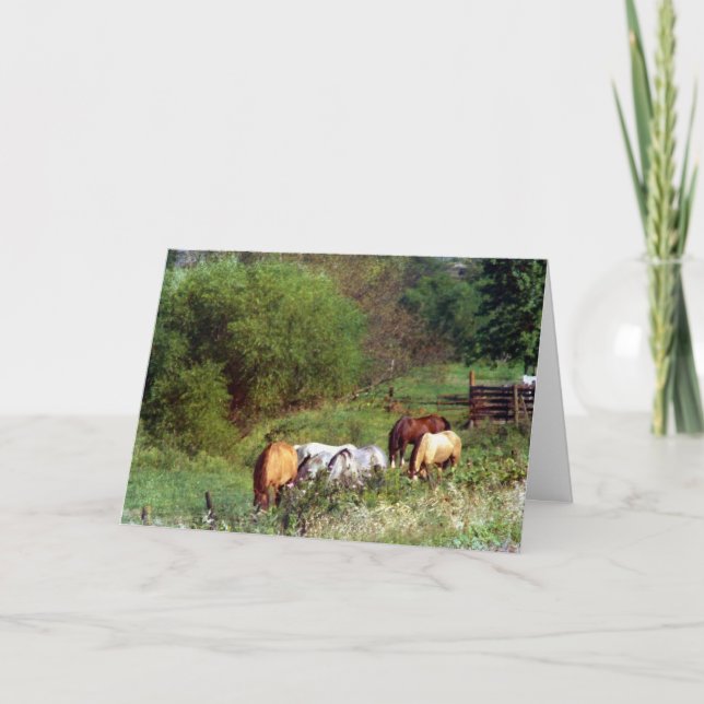 Horse Pasture Birthday Card (Front)