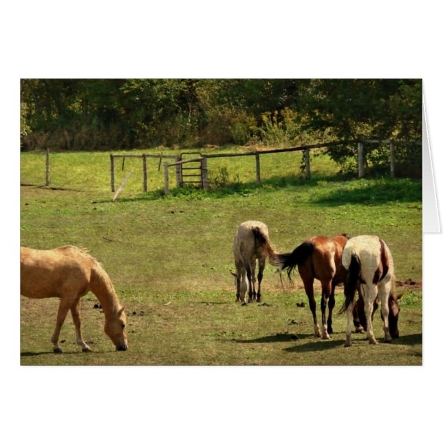 Horse Pasture Cards (Front Horizontal)