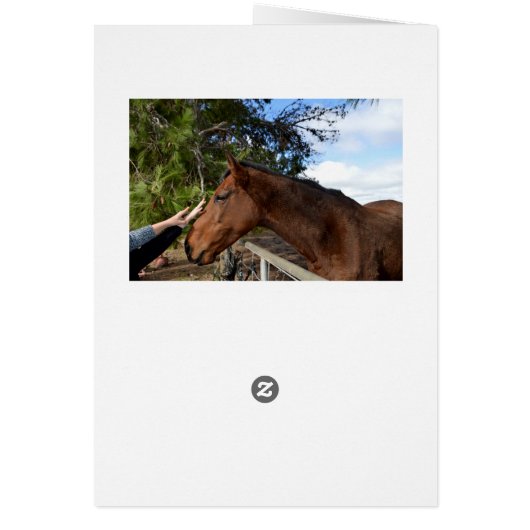 Horse_Pat,_Greeting_Card. (Back)