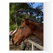 Horse_Pat,_Greeting_Card. (Inside (Left))