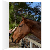 Horse_Pat,_Greeting_Card. (Inside (Right))