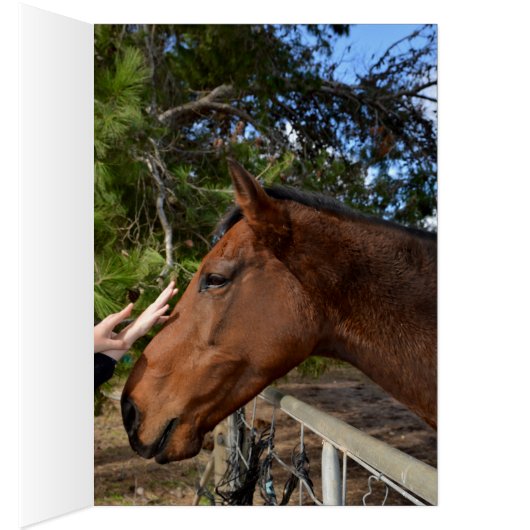 Horse_Pat,_Greeting_Card. (Inside (Right))