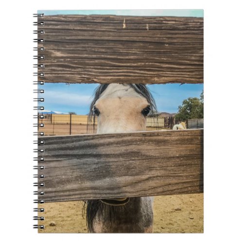 Horse Peek A Boo Notebook
