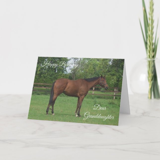 Horse Personalised Granddaughter Birthday Card (Front)
