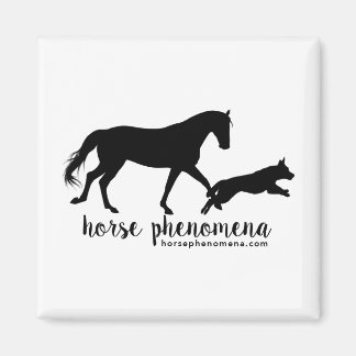 Horse Phenomena Magnet