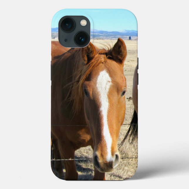 Horse Phone Cases (Back)