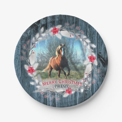 Horse photo blue wood frame silver paper plates