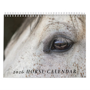 Horse Photo Calendar 2026