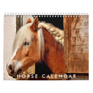 Horse Photo Calendar 2026 Beautiful Wall Calendar