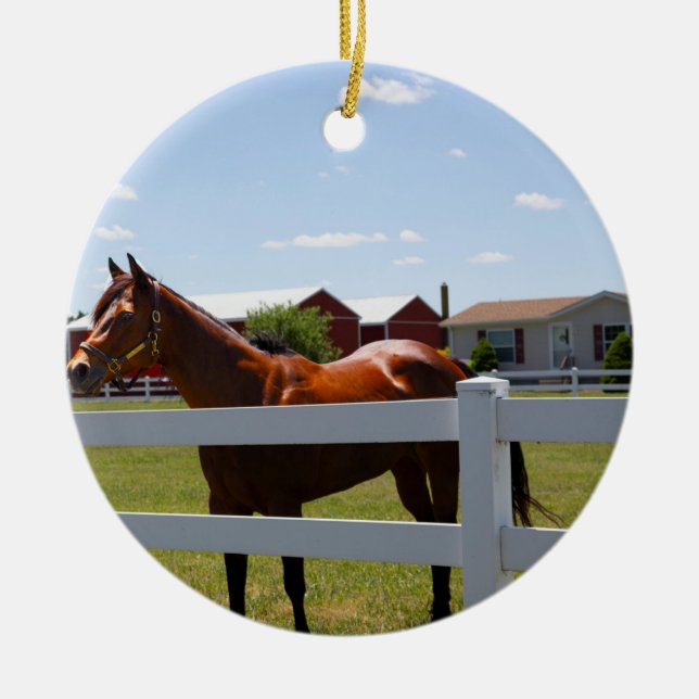 Horse Photo Ceramic Ornament (Front)