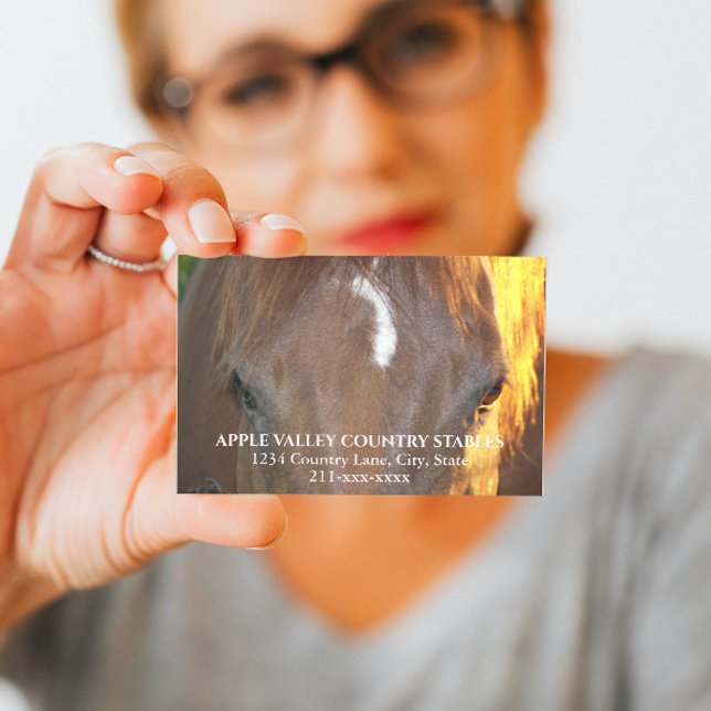Horse Photo Equestrian Stables Business Card (In Situ Person)