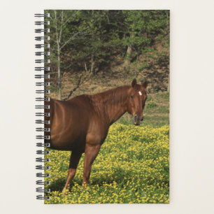 Horse Photo Equine Chestnut Yellow Flowers Planner
