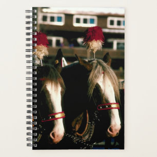 Horse Photo Equine Draft Horse Tandem Planner