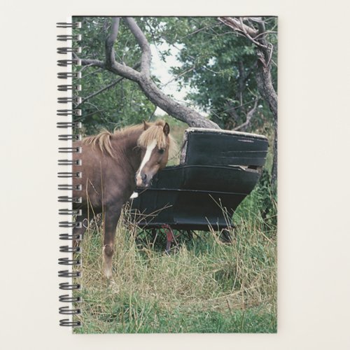 Horse Photo Equine Horse Vintage Buggy Planner